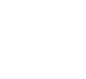 identity logo picto se01 white